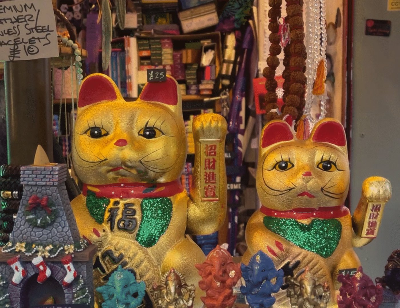 A looped gif of ornimental cats protesting